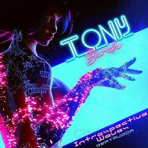 Tony Birch - Introspective Waves (2022) MP3