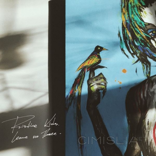 Pristine Kids - Leave No Trace (2022) MP3