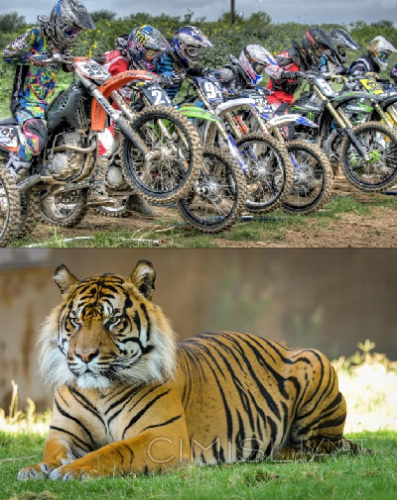 Обои для рабочего стола - 100 Amazing Mixed Wallpapers [Pack - 9] [1600x1200 - 3840x2130] [100шт.] (2015) JPG