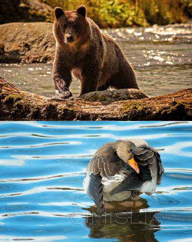 Обои для рабочего стола - 100 Amazing Mixed Wallpapers [Pack - 16] [1024x768 - 3200x2000] [100шт.] (2015) JPG