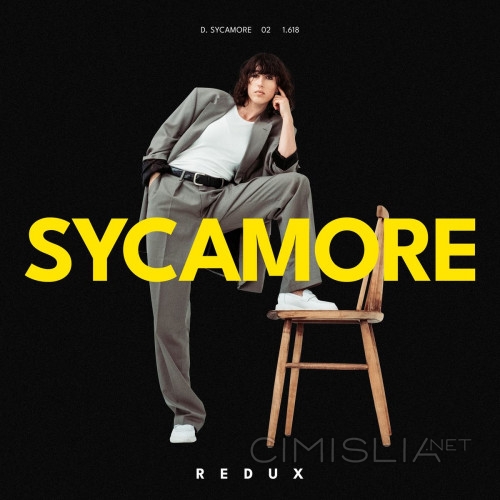 Drew Sycamore - Sycamore Redux (2022) MP3