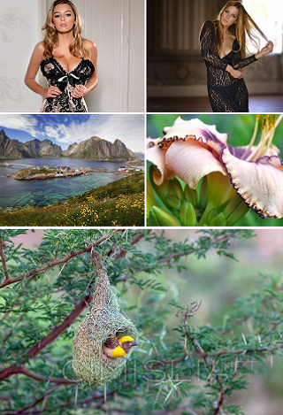 Обои для рабочего стола - Разное [1920x1200 - 7375x3492] [186 шт.] (2020) JPG