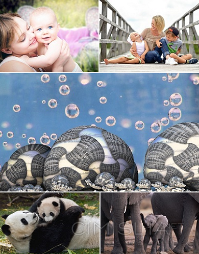 Обои для рабочего стола - Mix-36 [1920x1080 - 7680x4320] [322 шт.] (2020) JPG