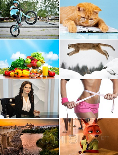 Обои для рабочего стола - Песочница - 53 [1920x1200 - 10000x7119] [1010 шт.] (2021) JPG