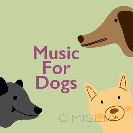 VA - Music For Dogs (2022) MP3