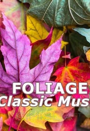 VA - Foliage Classic Music (2022) MP3