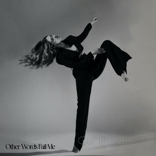 Wildes - Other Words Fail Me (2023) FLAC