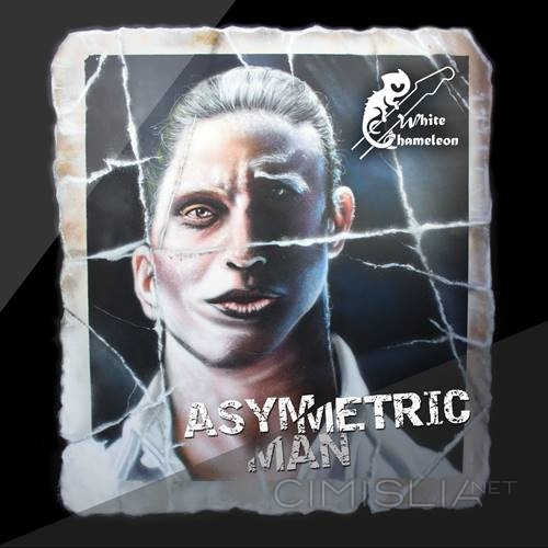 White Chameleon - Asymmetric Man (2018) FLAC