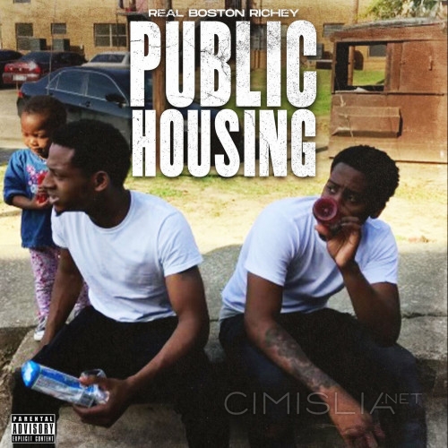 Real Boston Richey - Public Housing (2022) MP3