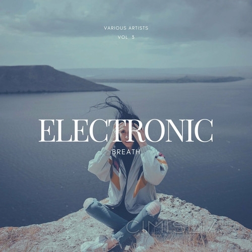 VA - Electronic Breath [Vol. 3] (2023) FLAC