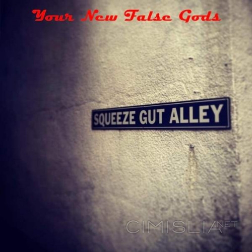 Your New False Gods - Squeeze Gut Alley (2023) FLAC