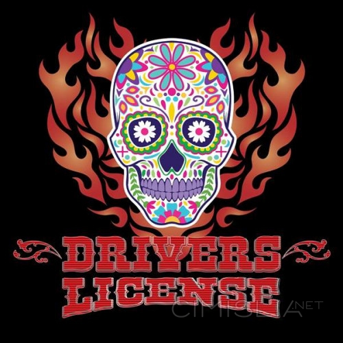 Driver's License - Driver's License (2022) FLAC