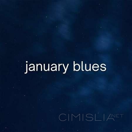 VA - january blues (2023) MP3
