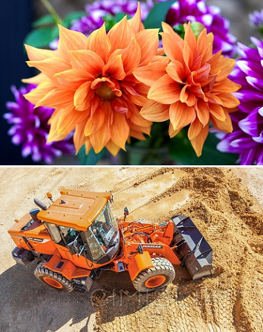 Обои для рабочего стола - Оранжевые [3840x2400] [149 шт.] (2022) JPG