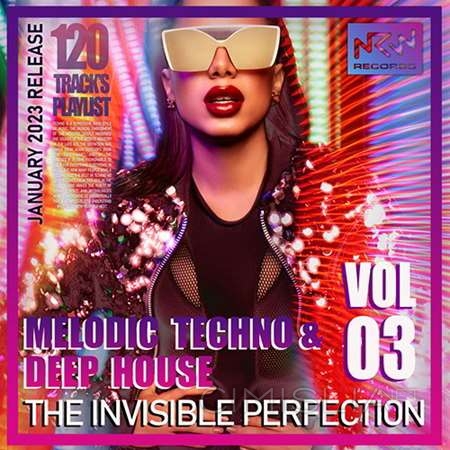 VA - The Invisible Perfection Vol.03 (2023) MP3