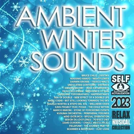 VA - Ambient Winter Sounds (2023) MP3