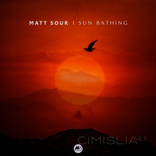 Matt Sour - Sun Bathing (2022) FLAC