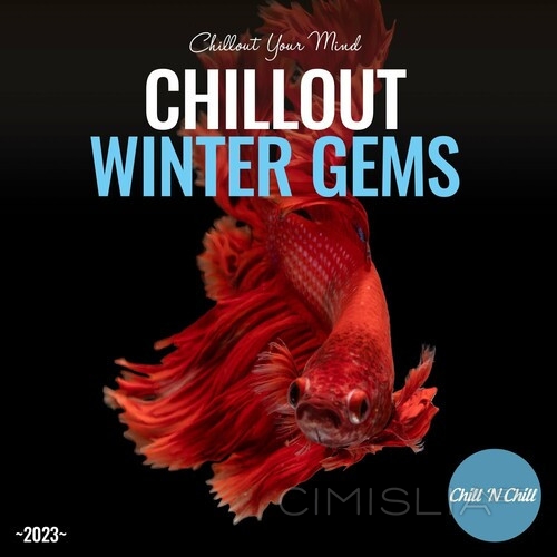 VA - Chillout Winter Gems: Chillout Your Mind (2023) FLAC