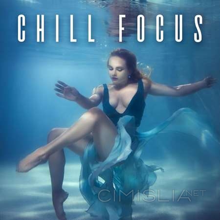 VA - Chill Focus (2022) MP3