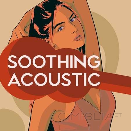 VA - Soothing Acoustic (2022) MP3