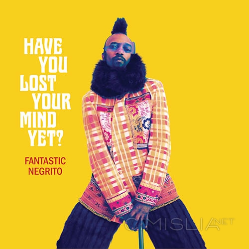 Fantastic Negrito - Have You Lost Your Mind Yet? [24-bit Hi-Res] (2020) FLAC