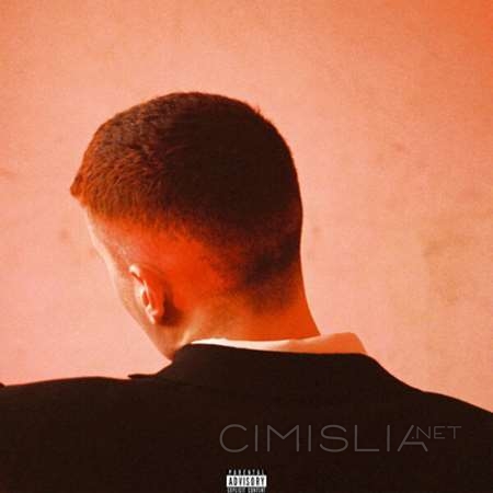 Joesef - Permanent Damage [24-bit Hi-Res] (2023) FLAC