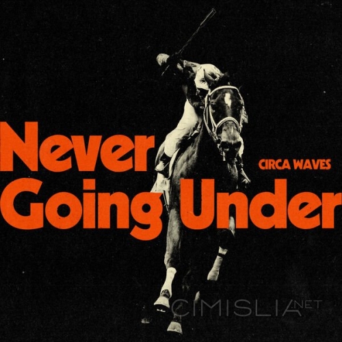 Circa Waves - Never Going Under [24-bit Hi-Res] (2023) FLAC