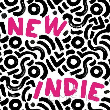 VA - New Indie (2023) MP3