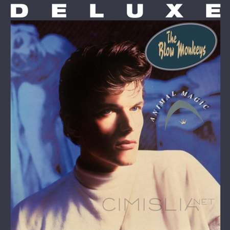 The Blow Monkeys - Animal Magic [Deluxe] (2023) FLAC
