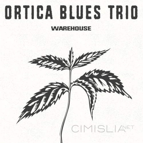 Ortica Blues Trio - Warehouse (2023) FLAC