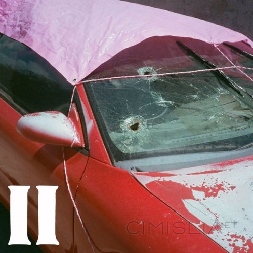 Pure Adult - II (2023) FLAC