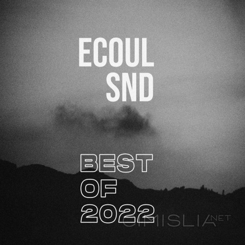 VA - Best of 2022 Ecoul Snd (2022) FLAC