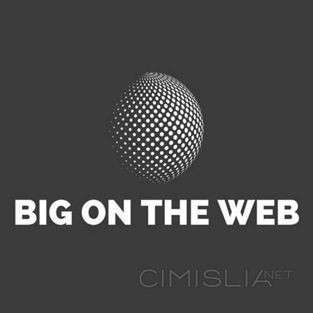 VA - Big on the Web (2023) FLAC