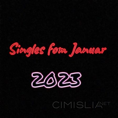 VA - Fiesta Records - Singles vom Januar (2023) MP3