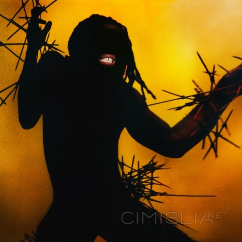 Young Fathers - Heavy Heavy (2023) MP3