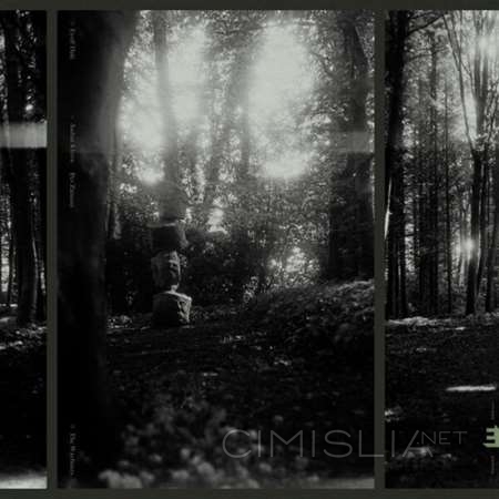 Eyolf Dale - The Wayfarers [24-bit Hi-Res] (2023) FLAC