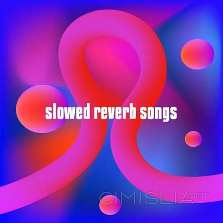 VA - Slowed Reverb Songs (2023) MP3
