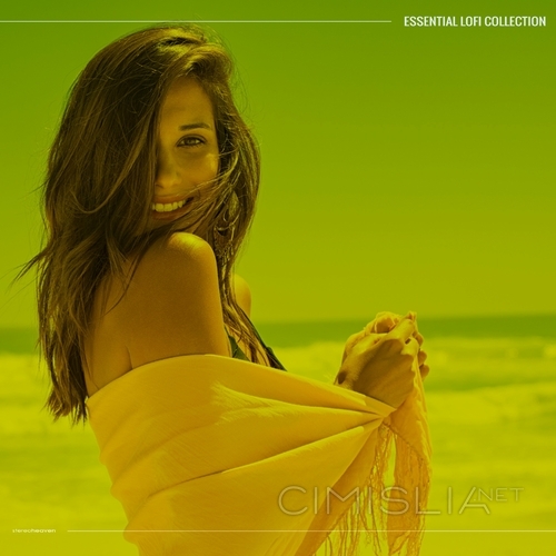 VA - Essential Lofi Collection (2023) MP3