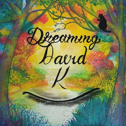 Dreaming David K - Black Cat Metaphysics (2023) FLAC