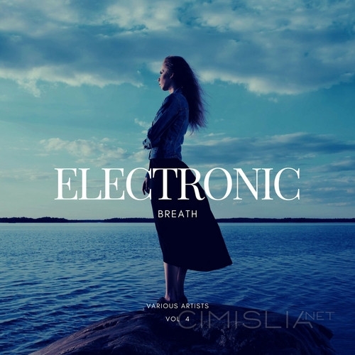 VA - Electronic Breath [Vol. 4] (2023) FLAC