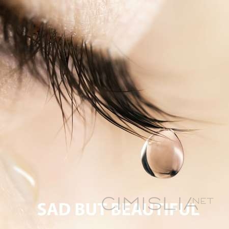 VA - Sad But Beautiful - The Greatest Sad Songs (2023) MP3