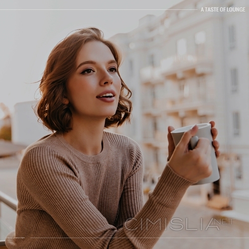 VA - A Taste of Lounge (2022) MP3