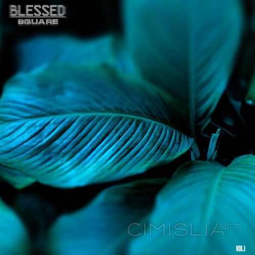 VA - Blessed Square, Vol. 1 (2023) MP3