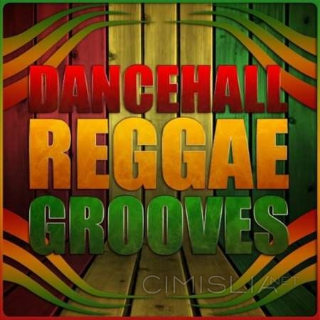 VA - Dancehall Reggae Grooves (2023) MP3