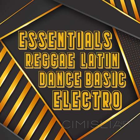 VA - Essentials Reggae Latin Electro Dance Basic (2023) MP3