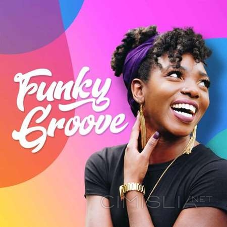 VA - Funky Groove (2023) MP3