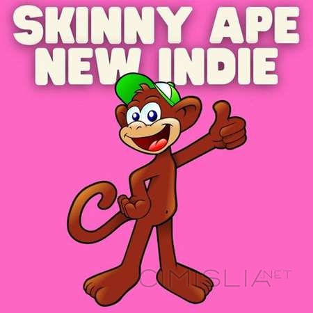 VA - Skinny Ape New Indie (2023) MP3