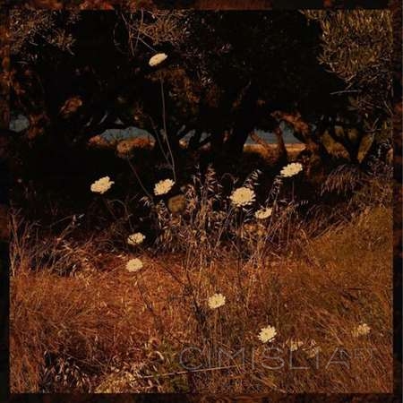 Szun Waves - Earth Patterns (2022) MP3