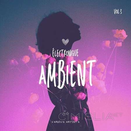 VA - Electronique Ambient, Vol. 3 (2023) MP3