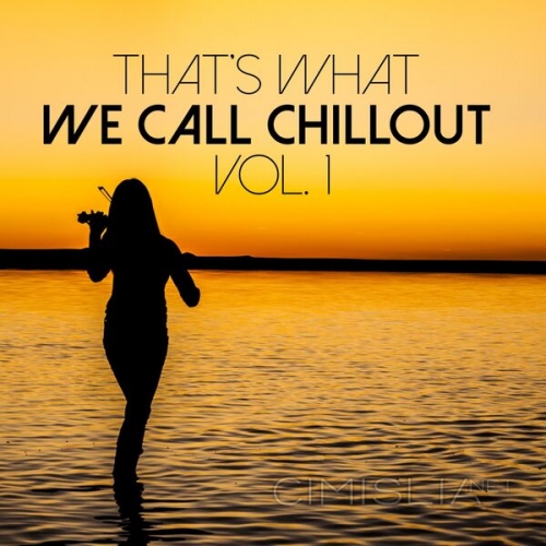VA - That's What We Call Chillout, Vol. 1 (2023) MP3